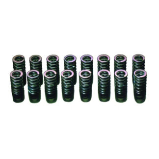 HKS Valve Spring Kit for RB26DETT Step 2