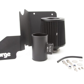Forge Motorsport Fiesta ST180/MK7 1.0 TSI Intake Replacement Filter