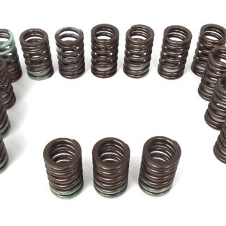 HKS Valve Spring Kit for Evo 1-7 Old # 2201-Rm001
