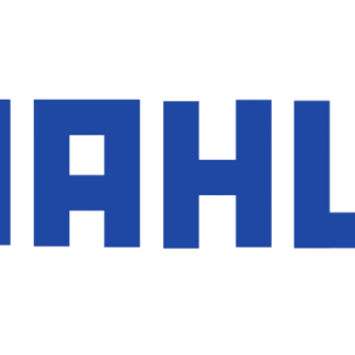 Mahle Motorsport Big End Bearing Set BMW Mini N14B16 STD