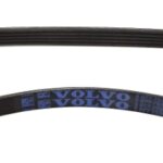 Ford Drive Belt