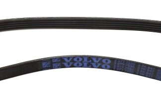 Ford Drive Belt