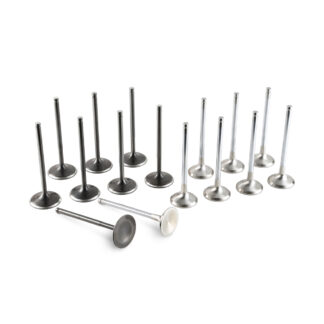 Tomei Racing Valve Set 4B11 EVO 10