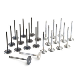 Tomei Racing Valve Set RB26DETT