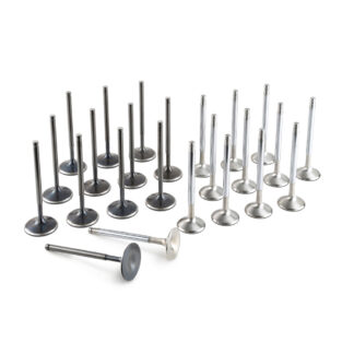 Tomei Racing Valve Set VG30DETT