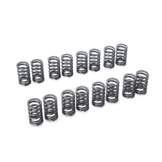 Tomei Valve Spring Set 4G63