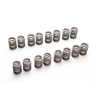 Tomei Valve Spring Set 4B11 EVO 10/G4KF