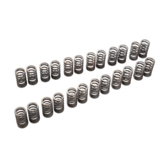 Tomei Valve Spring Set VR38DETT