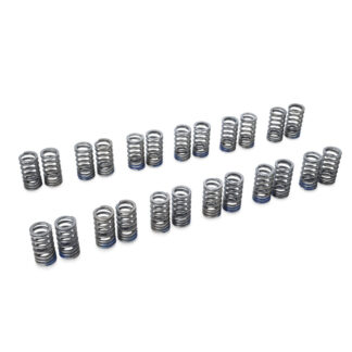 Tomei Valve Spring Set RB26DETT Type-A