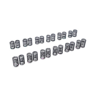 Tomei Valve Spring Set RB25DE(T) R33 Type-A