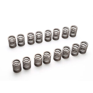 Tomei Valve Spring Set KA24DE