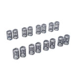 Tomei Valve Spring Set EJ205/EJ207/EJ255/EJ257