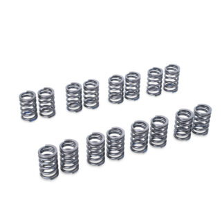 Tomei Valve Spring Set EJ205/EJ207/EJ255/EJ257