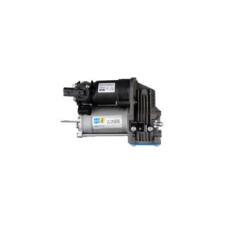 Bilstein B1 Compressor RClass (W251 V251)