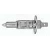 *PIAA H1 PLATINUM Comp 55/100w Single
