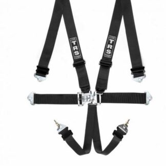 TRS Nascar 2in Lever/Latch - 6 point Harness in Black