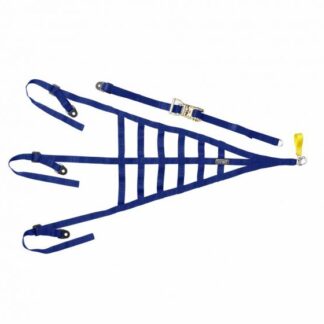 TRS Safety Roll Cage net - non-homologated in Blue