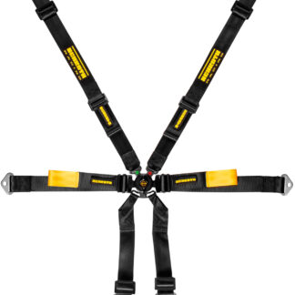 Schroth Racing Enduro Porsche 991/981 2x2 - Black